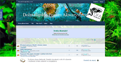 Desktop Screenshot of dfa.net.pl